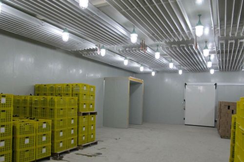 哈尔滨新型水产品冷库设备设计